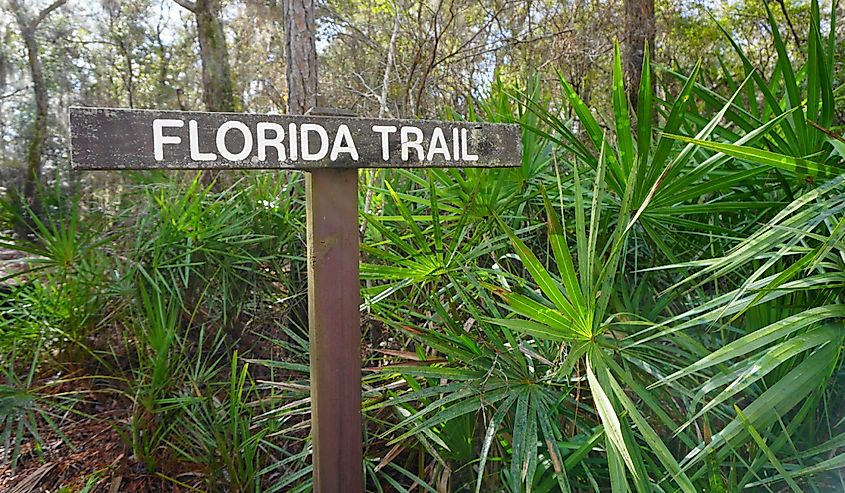 Florida Trail sign in the Suwannee River section of the Florida National Scenic Trail
