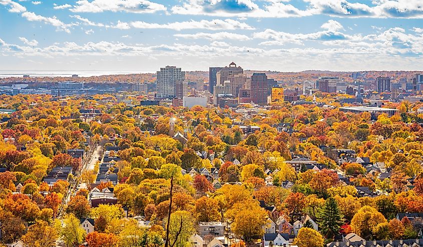 Aerial view of fall foliage in New Haven