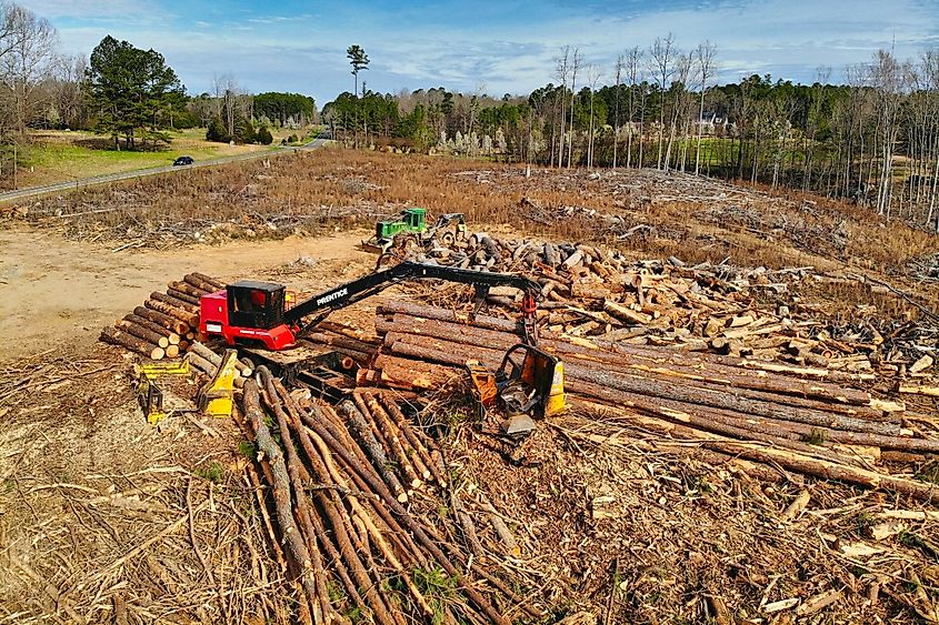 Logging taking place in Chatham County, NC