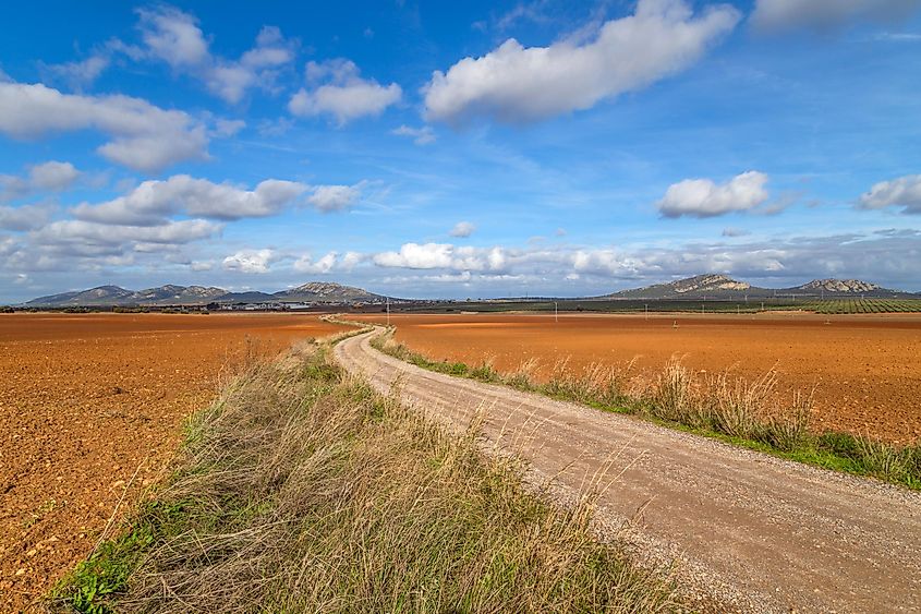 A long, shadeless dirt road leading through the rural countryside in Southern Spain