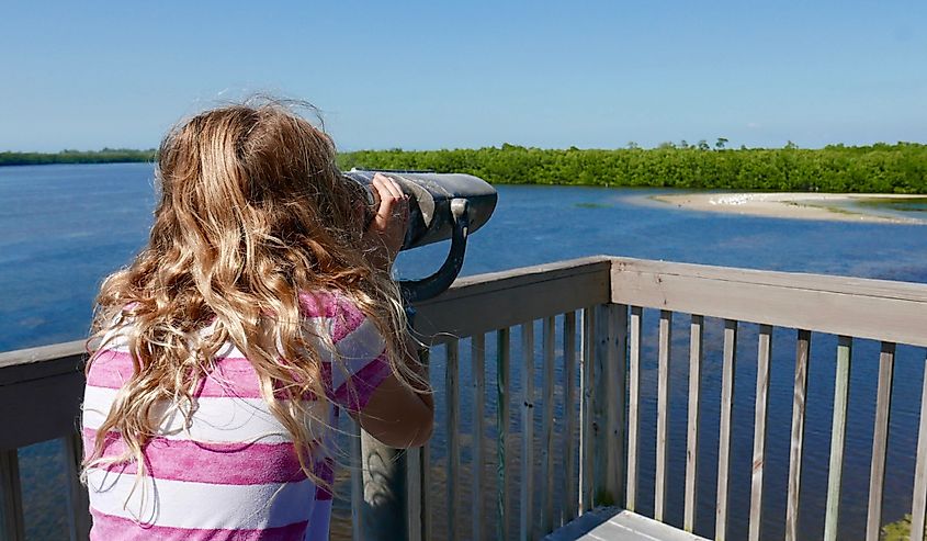 Girl bird watching through a viewing scope at a wildlife nature preserve on Sanibel Island, Florida