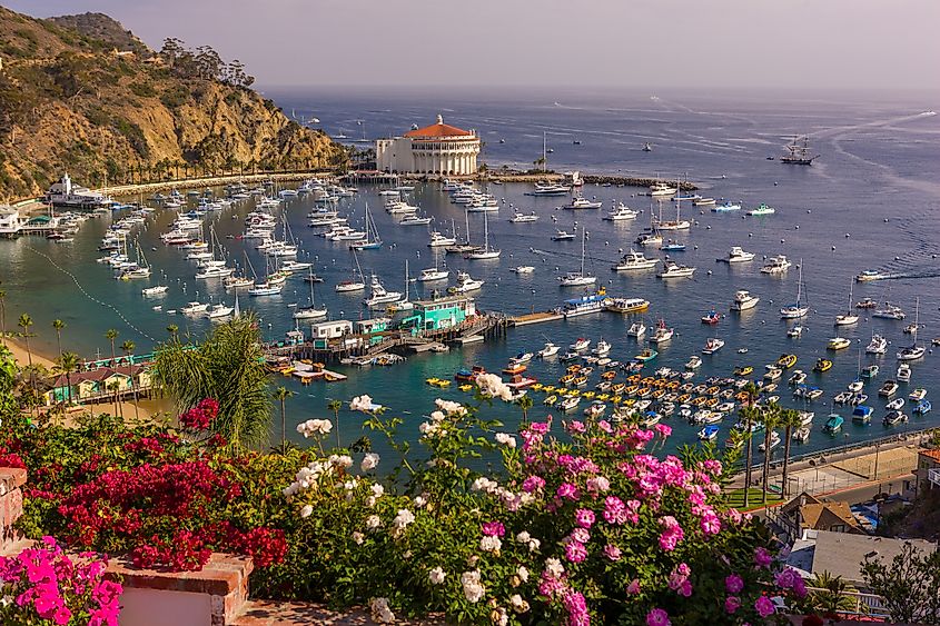 Aerial view of the Harbor and Casino in Avalon on the Santa Catalina Island
