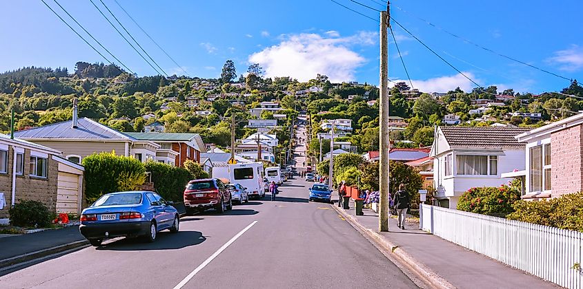 Looking up Baldwin Street, the steepest street in the world - Dunedin, New Zealand