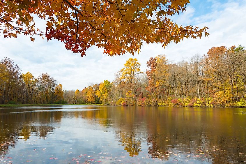 Fall Foliage over Lily Lake at Eagle Creek State Park, Indianapolis, Indiana