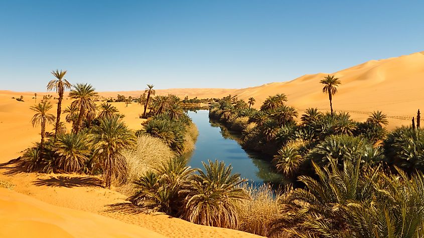 An oasis in the Sahara Desert.