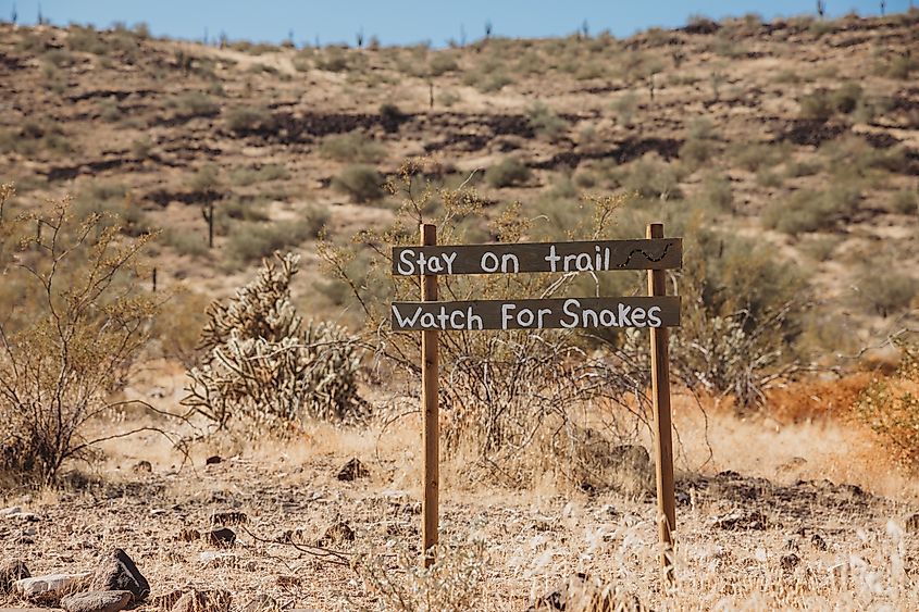 A sign warning visitors to watch out for snakes on a trail near Pheonix, Arizona.