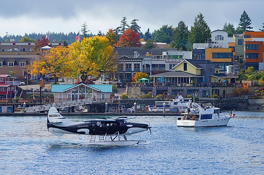 A Kenmore Air floatplane, painted to resemble an orca, floats on the water in the port of Friday Harbor, San Juan Islands, Washington State, United States.