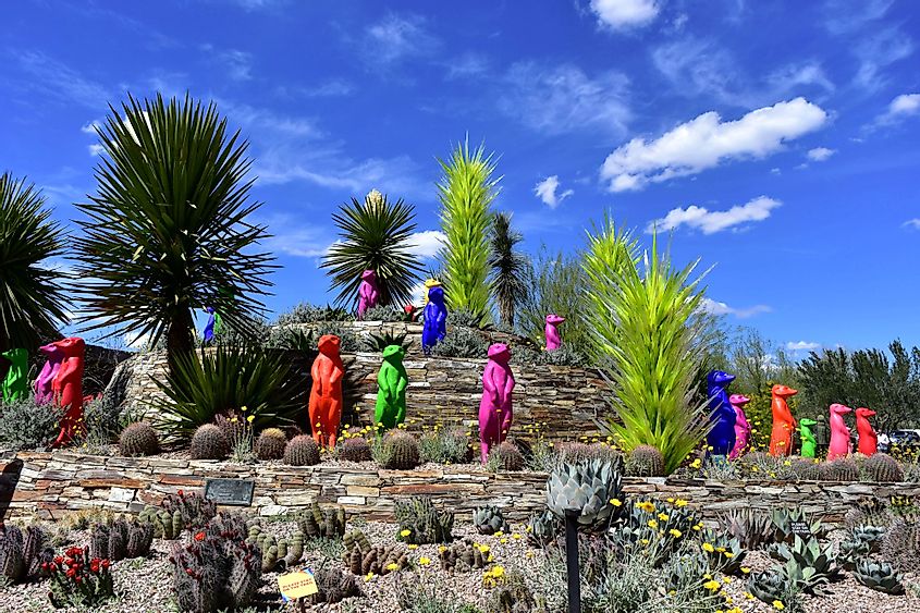 Desert Botanical Garden at Phoenix, Arizona