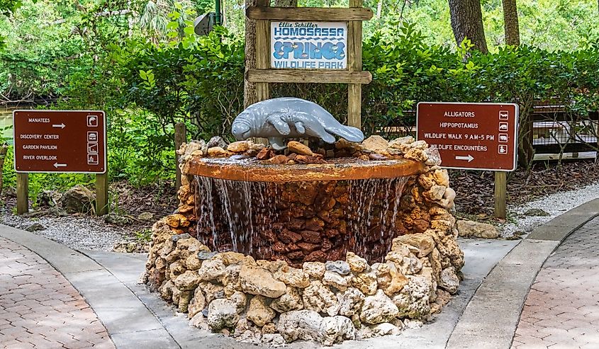 Manatee statue and fountain near the entrance to Ellie Schiller Homosassa Springs Wildlife State Park
