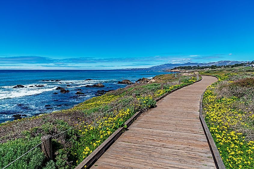The boardwalk, on Moonstone Beach, Cambria California.