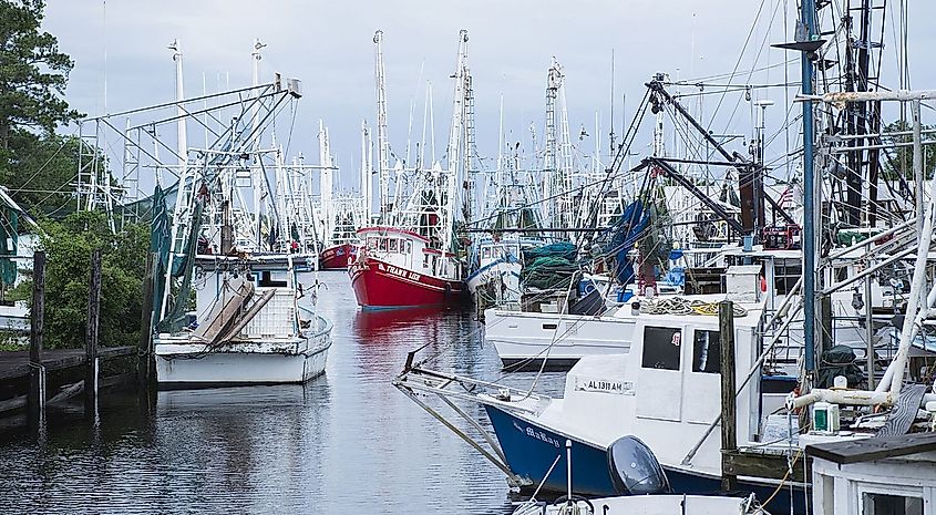 Shrimp boats docked at harbor in Bayou La Batre, Alabama