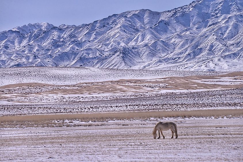 Gobi Desert is a cold desert in East Asia.