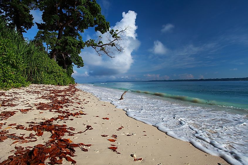 Havelock Island