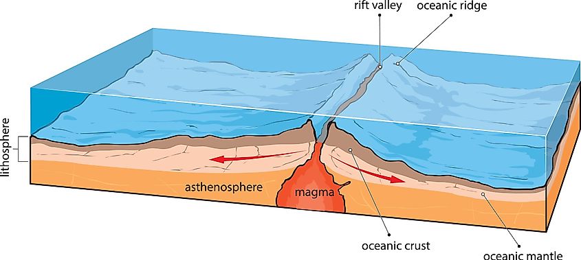 Plate tectonics 