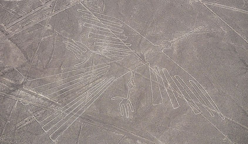 Nazca Lines, The Condor, Landmark of Peru.