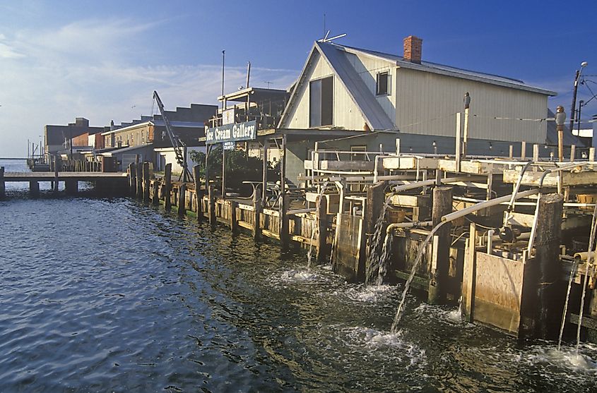 The harbor at Crisfield, Maryland.