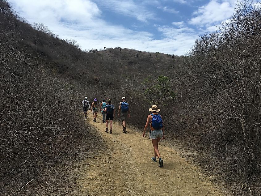 A group of hikers heads up a desert trail