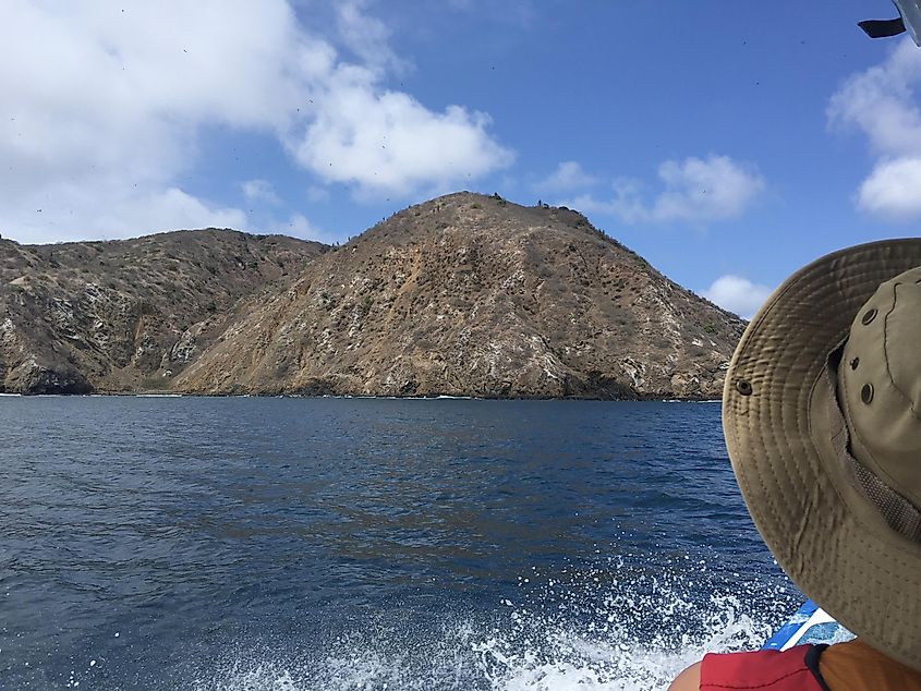 A woman in a sun hat on a motor boat looks ahead to an approaching island