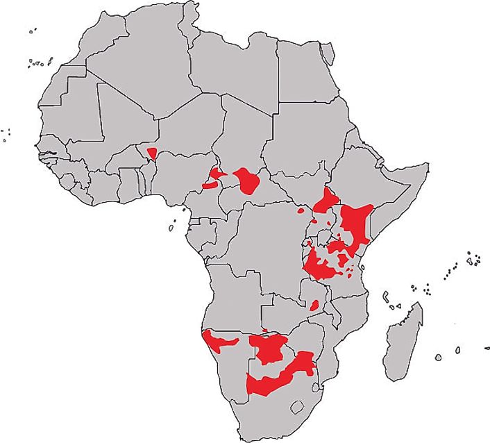 Map Of Giraffe habitat