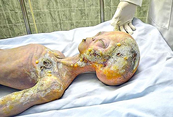 alien autopsy roswell new mexico