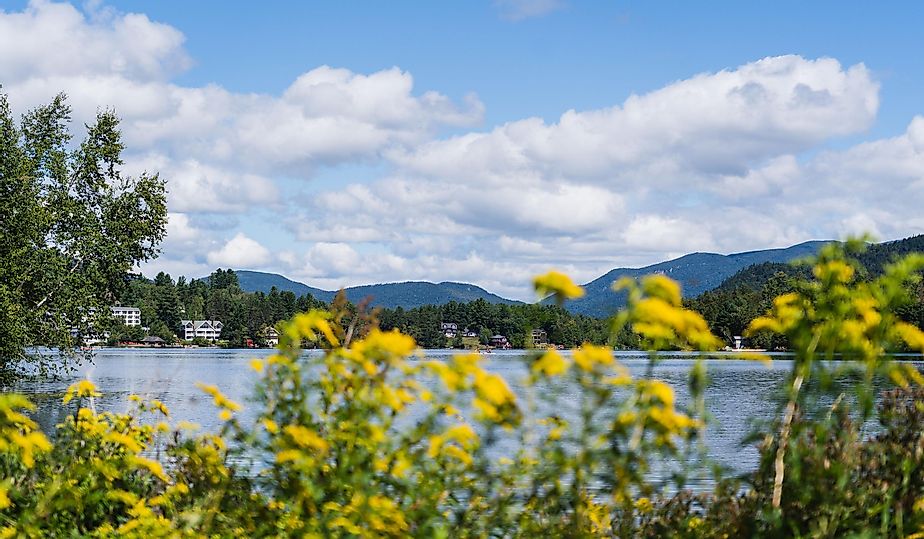 Yellow flowers against Mirror Lake in Lake Placid, NY.