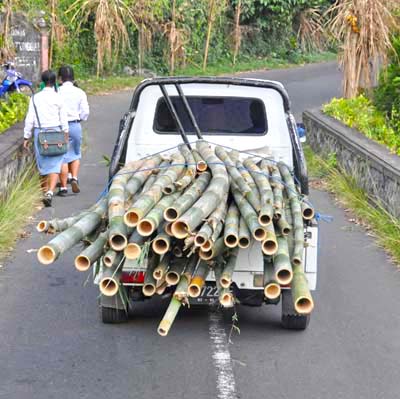 bamboo truck