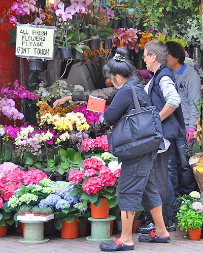 don't touch the flower