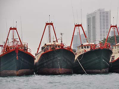fishing boats