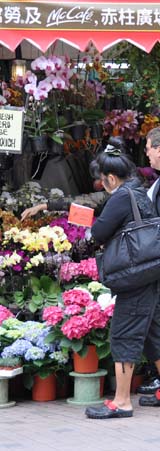 flower market
