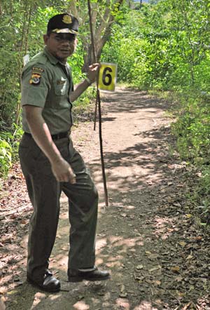 jungle guide