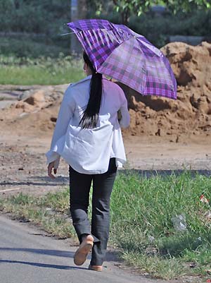 purple umbrella