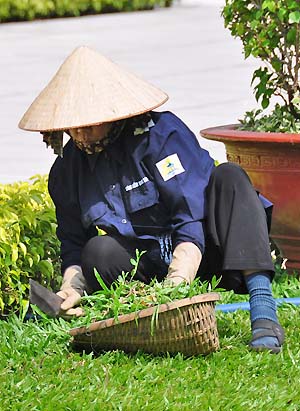 saigon gardener