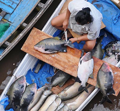 brazil, manaus, fishing boat workers
