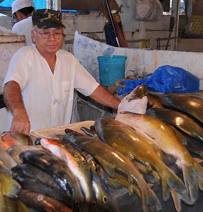brazil, manaus, mercado adolpho lisboa