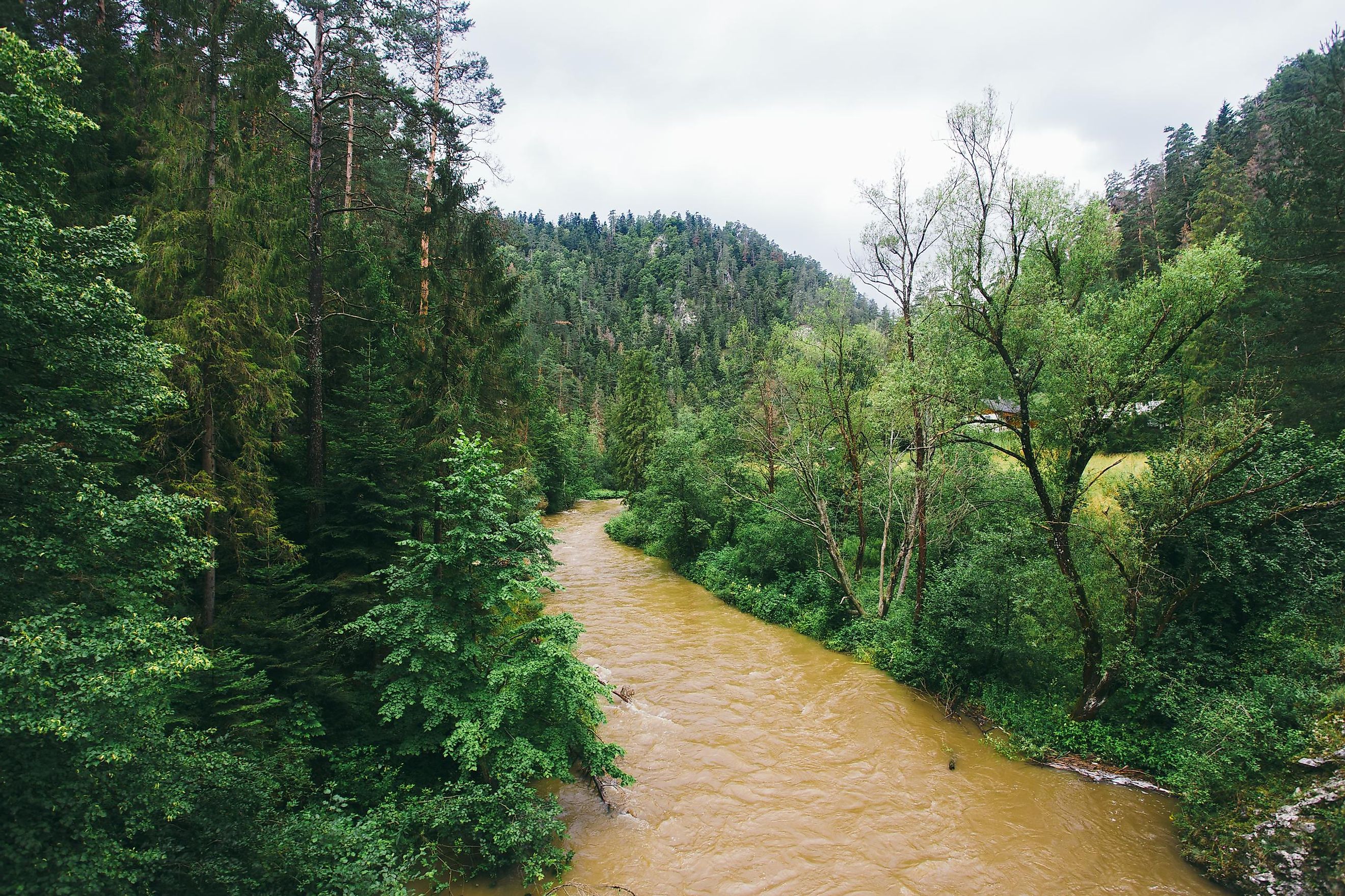 The Hornad River flowing through the forested landscape in Slovakia.