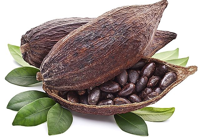 Cocoa pods with plant leaves
