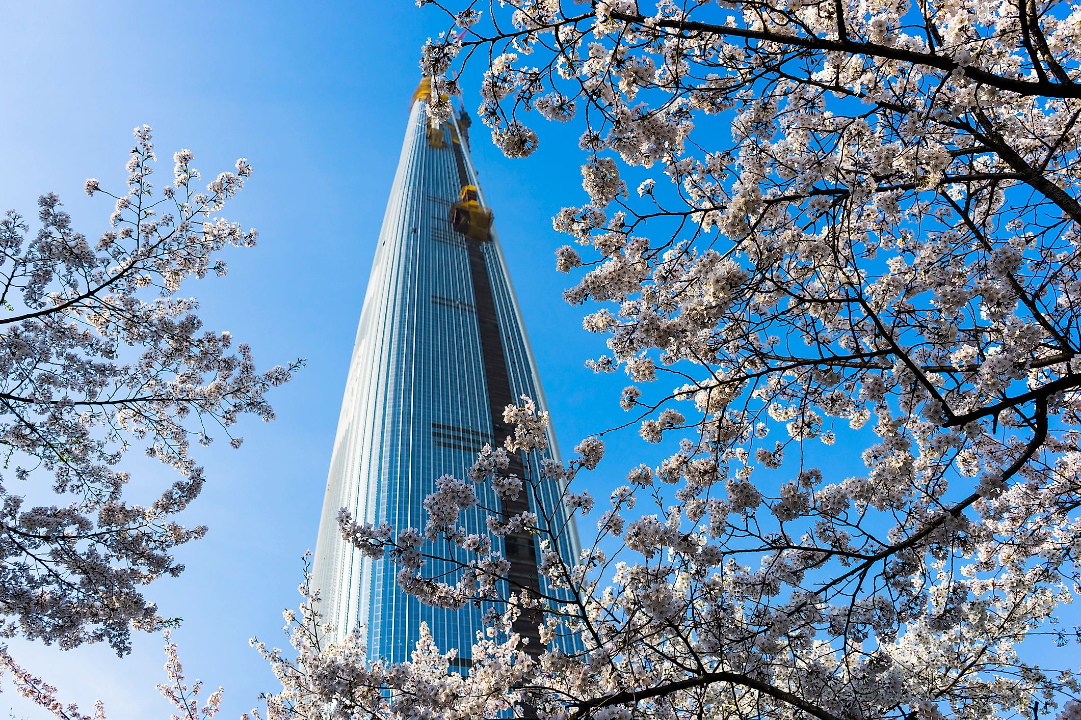 #5 Lotte World Tower, South Korea - 1819 feet 