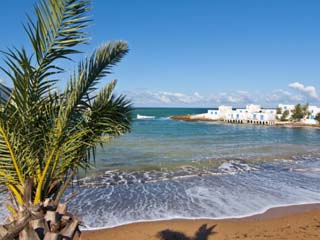 Palm and Beach at Beach Resort on the Mediterranean Coast Near Tipasa, Algeria, North Africa