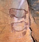 rock art