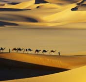 Sahara