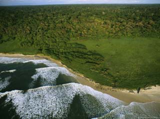 Elevated View of the Atlantic Coast of Gabon