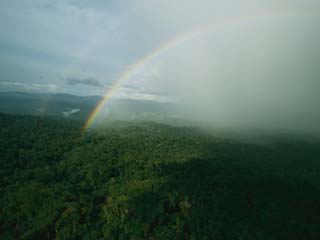 Aerial View of a Rainbow Over the Lush Forests of Gabon