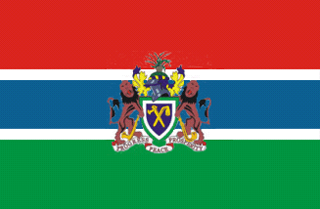 Presidential Standard of Gambia