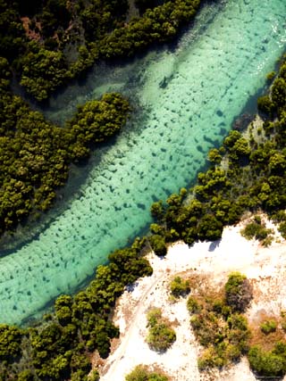 Mangrove and a Clear Estuarine River Close to the Indian Ocean, Mozambique