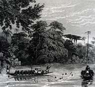 Niger river