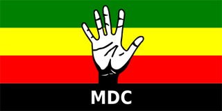 Movement for Democratic Change flag