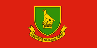 Zimbabwe National Army flag