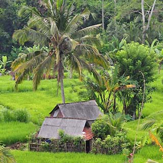 Bali mountain pass