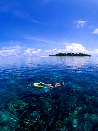 Bali Indonesia Travel on Indonesia Travel Information   Indonesia Attractions  Airlines  Hotels