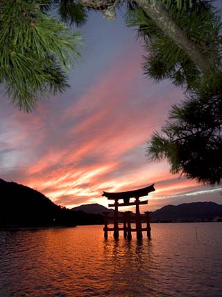 Torii Shrine Gate in the Sea, Miyajima Island, Honshu, Japan